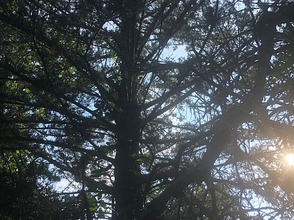 4th image of Crosstimber Dr