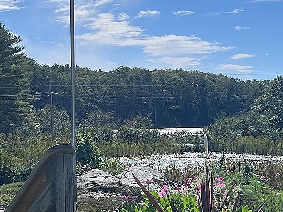 view from the deck
