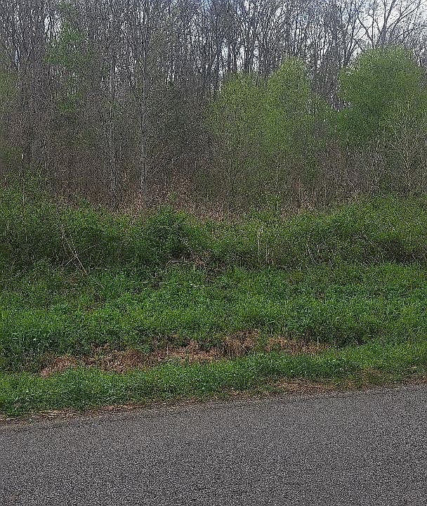 2nd image of 0 Napier Rd