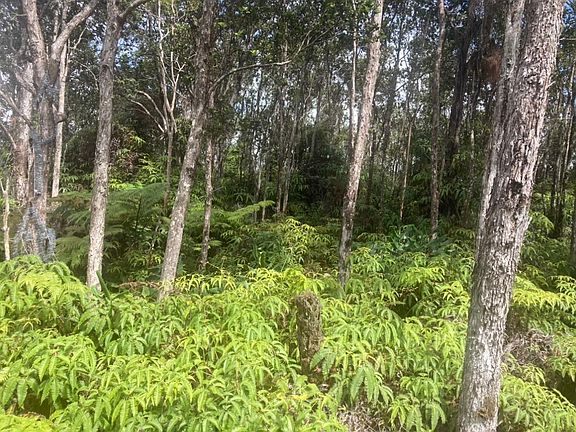 5th image of Mokuna St Lot 2158
