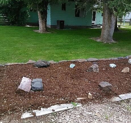 Mature landscaping