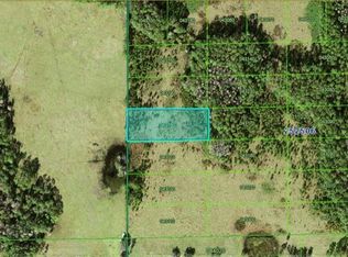 Judy Rd #261, Polk City, FL 33868