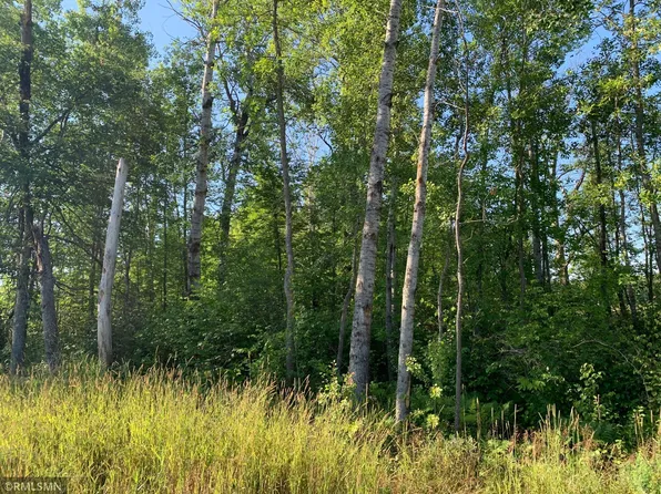 Xx 480th St, McGregor, MN 55760