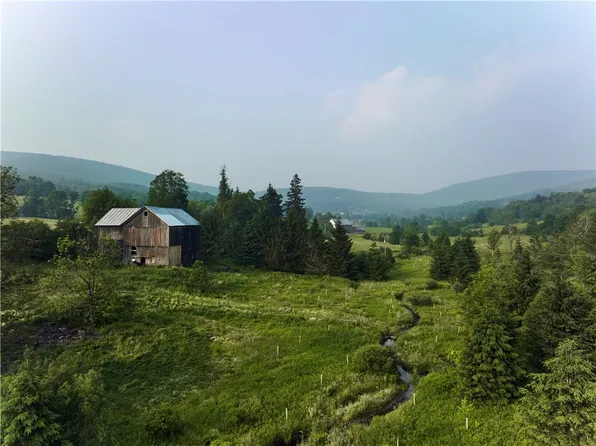 0 Crescent Valley Rd #29, Bovina Center, NY 13740