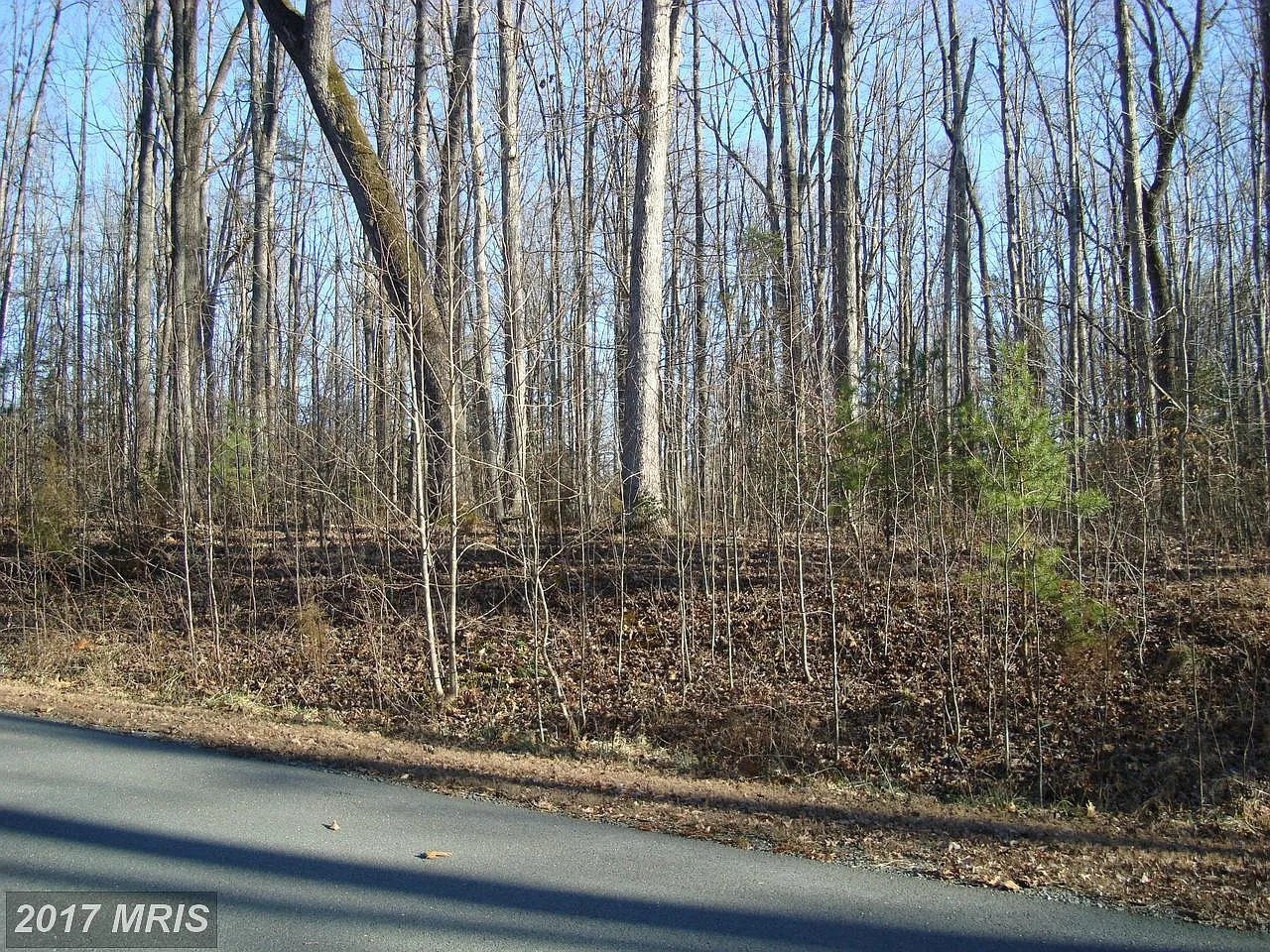 3913 Hatteras Ct photo 1