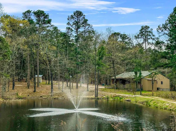 450 County Road 3595, Quitman, TX 75494
