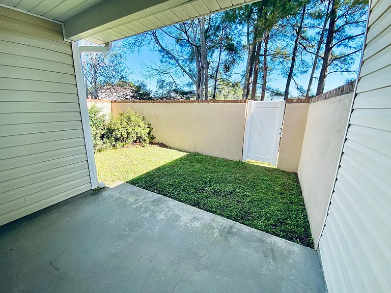 Backyard_04022022