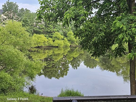 You get to wake up to this view every morning with your cup of coffee or tea!
