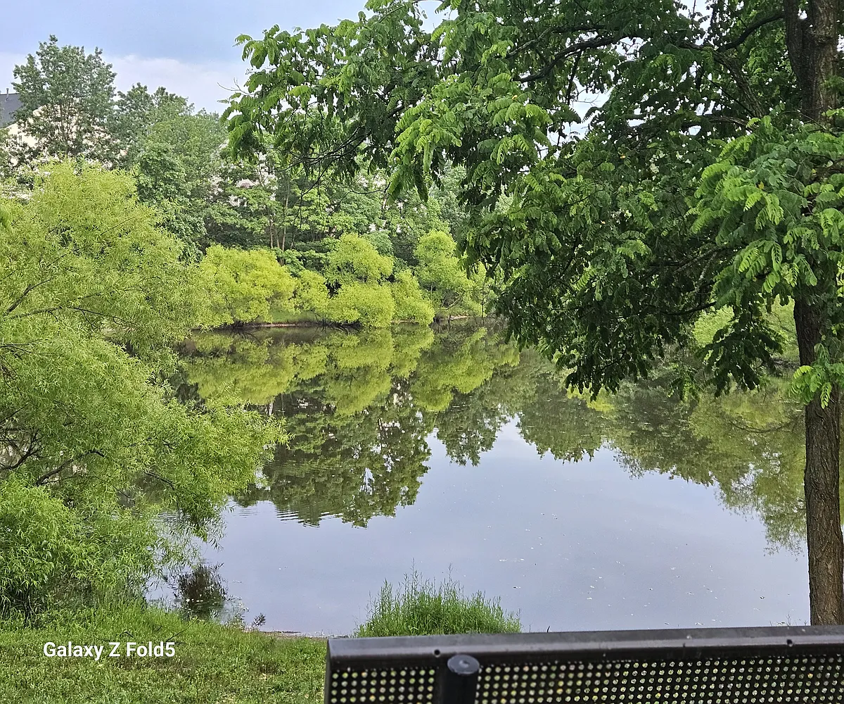You get to wake up to this view every morning with your cup of coffee or tea! - 7019 Lucknow St