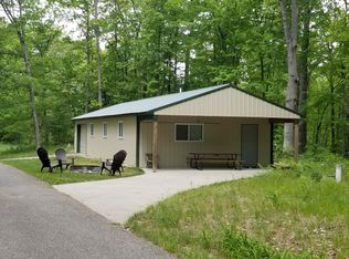 8207 N Hunters Ridge Dr, Irons, MI 49644