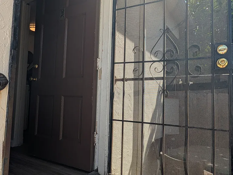 security door and front door