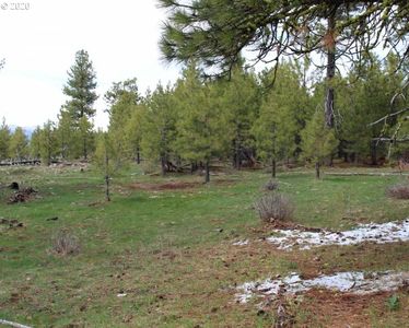 Quartz Mountain Pass #157, Lakeview, OR, 97630