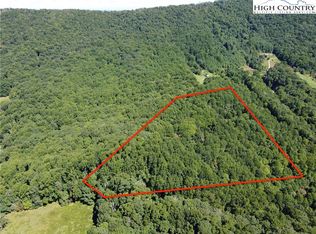 Reese Rd, Vilas, NC 28692