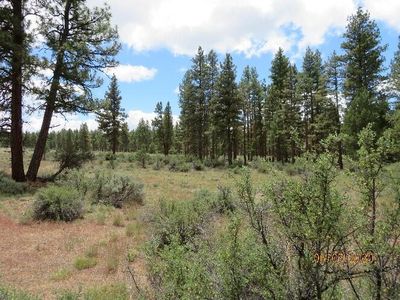 Seagull Drive Lots 1 2 #&-3, Bonanza, OR, 97623