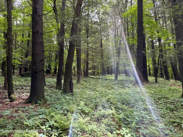 Tbd Green Lake Road, Athens, NY 12015