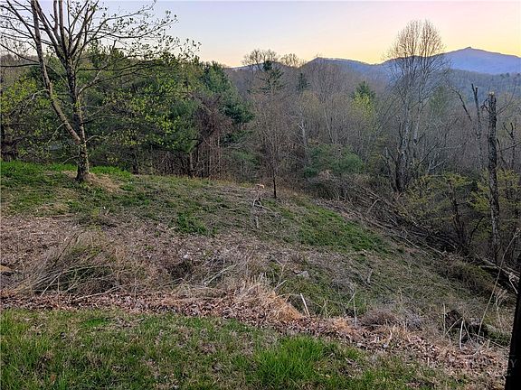 4th image of TBD Daisy Ridge #20 Road