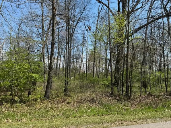 310 Bremen Dr, Fayetteville, OH 45118