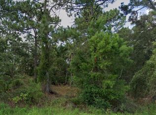 11260 Gallinule Ave, Brooksville, FL 34613