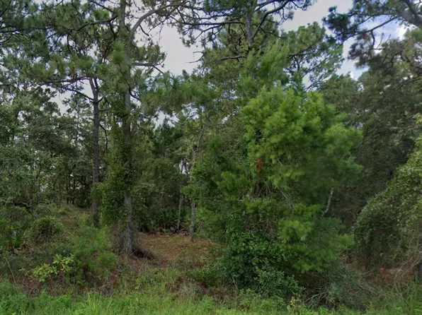 11260 Gallinule Ave, Brooksville, FL 34613