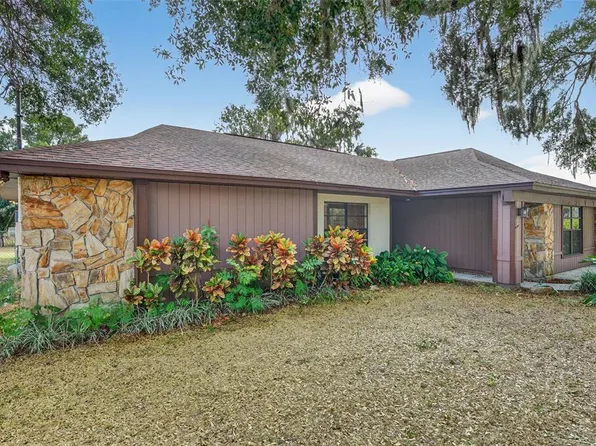 1825 Streetman Dr, Lithia, FL 33547