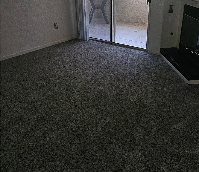 6480 Annie Oakley Dr #423 — Photo 8