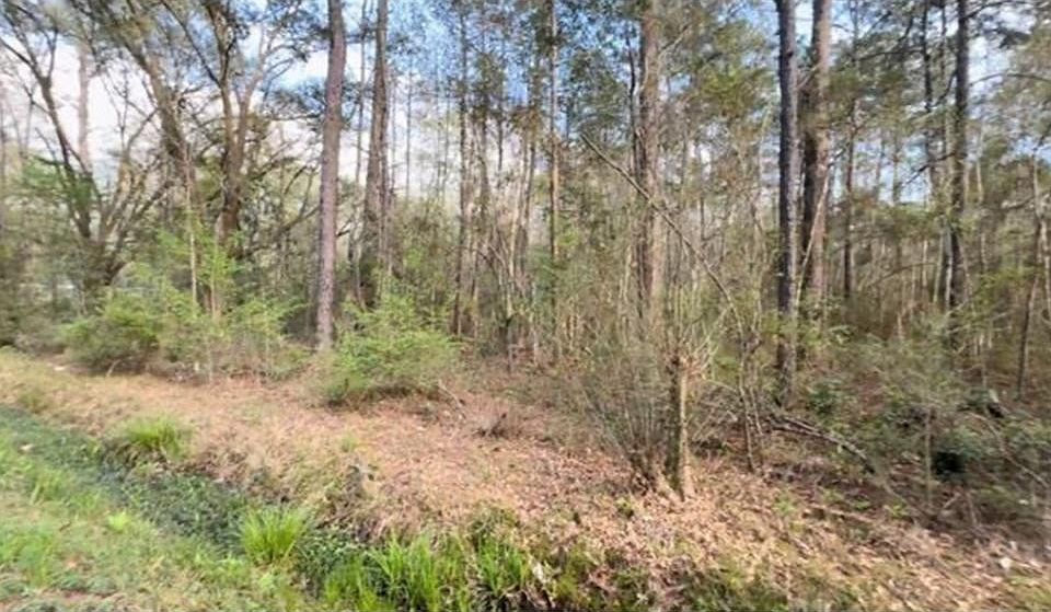 2nd image of 21263 Lowe Davis Rd