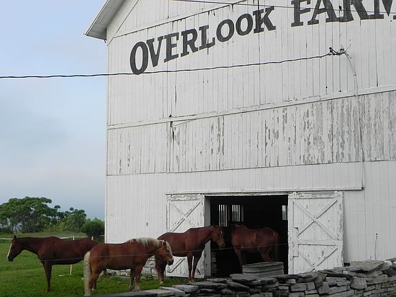 4th image of 776 E Monroe St