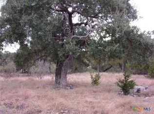 484 Havasu Point, Spring Branch, TX 78070