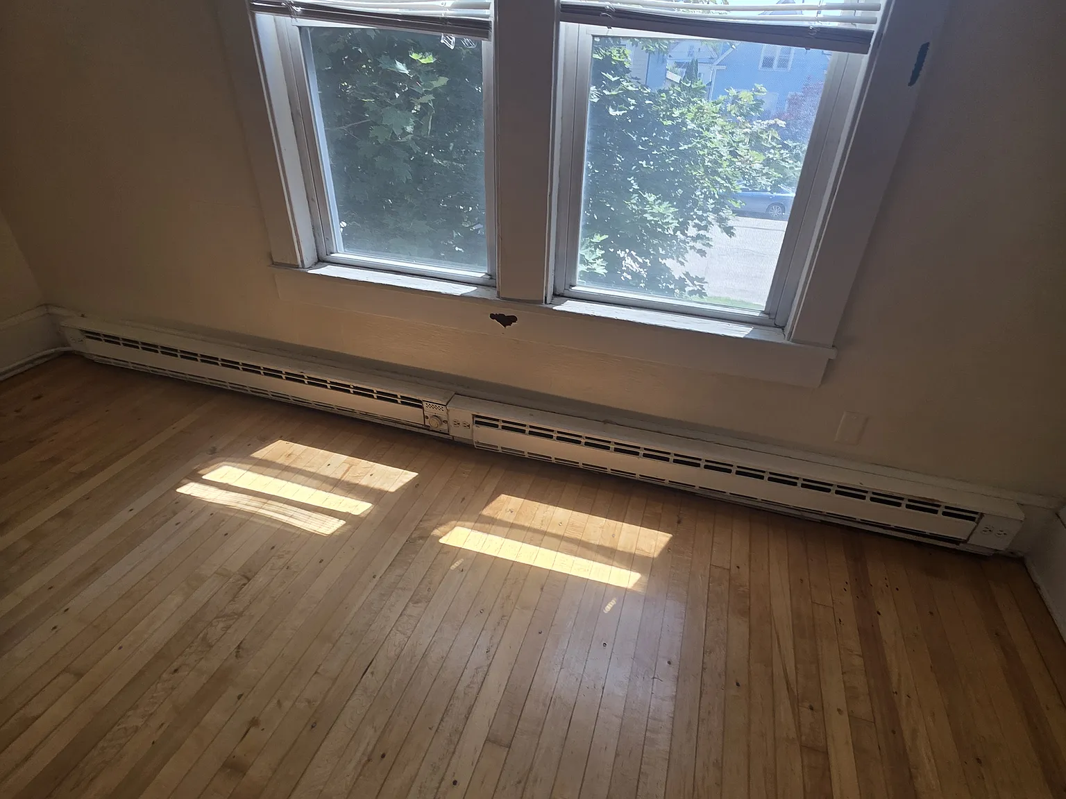 Studio, 600 sqft, $850 — Photo 3