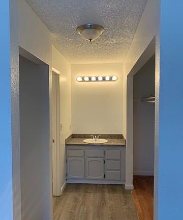 An additional vanity/make-up sink located next to the master bedroom.