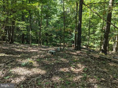 Walker Ln, Berkeley Springs, WV, 25411