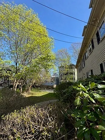 15 Harris St #2 — Photo 10