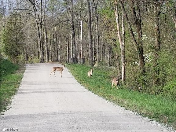 4th image of 37795 Sheep Skin Ridge Rd