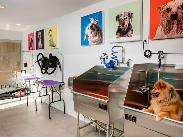 100 Willoughby Street image 29 of 43