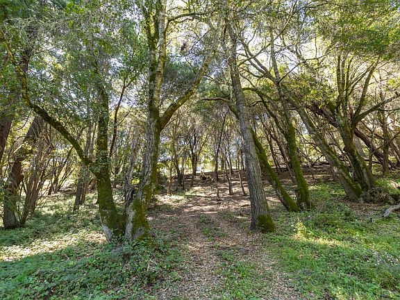 5th image of 4444 Trout Gulch Rd