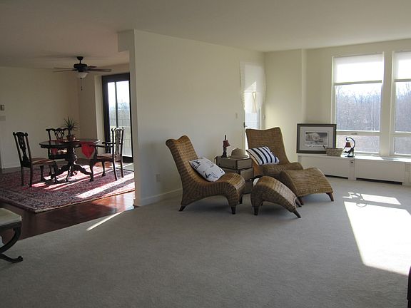 Sunsplashed living room