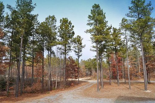 View from Front Porch
