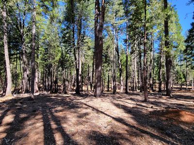 LOT 8 Whispering Winds Ct, Shingletown, CA, 96088