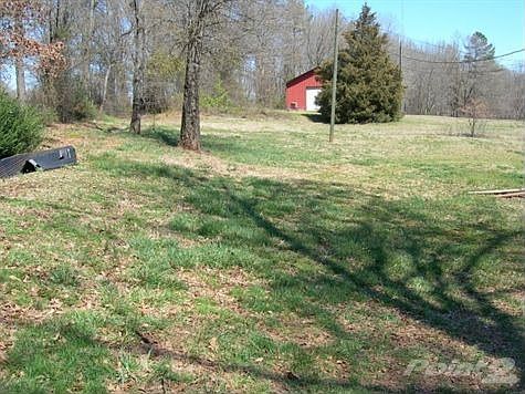Back yard view