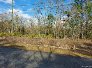 6285 N Walter Ter, Citrus Springs, FL 34434