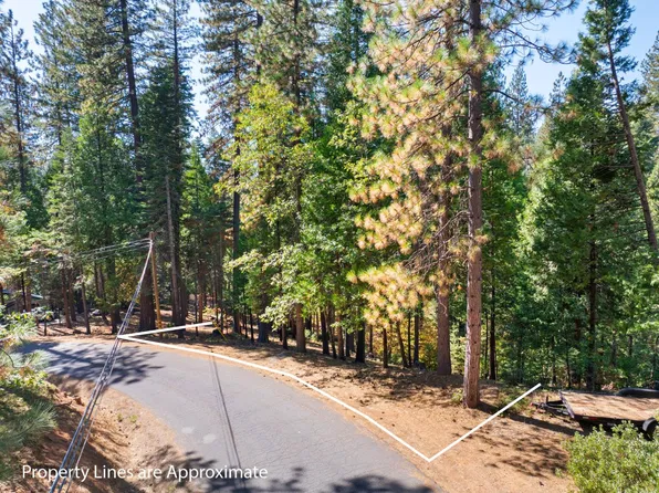 2785 Murphys Dr, Arnold, CA 95223