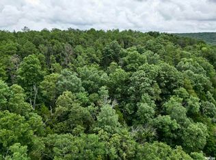 0 Stoneface Rd, Harrisburg, IL 62946