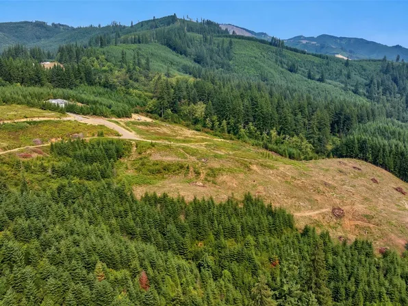 223 High Bank Lane #B, Woodland, WA 98674