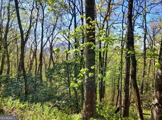 Pipetrack Gap Rd, Scaly Mountain, NC 28775