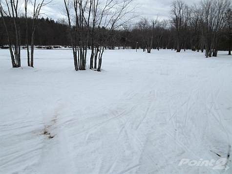 GREEN SPACE with BEACH