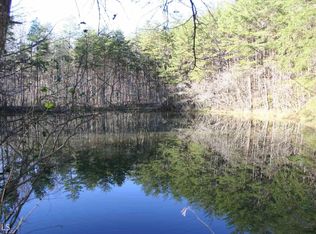 0 Fern Valley Rd, Ellijay, GA 30540