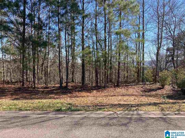 Land For Sale Odenville Al