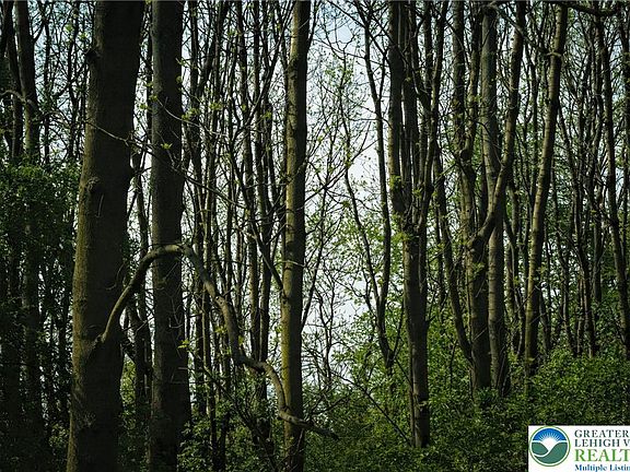 2nd image of 0 Main St