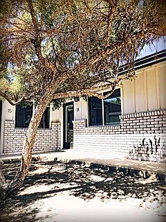 One Bed, One Bath in Gated Community near Arcadia! — Photo 4
