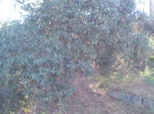 9488 SE County Road 221, Hampton, FL 32044